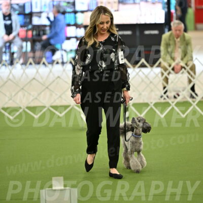 Ring-4-Afternoon-Rally_2157