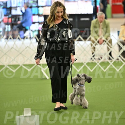 Ring-4-Afternoon-Rally_2158