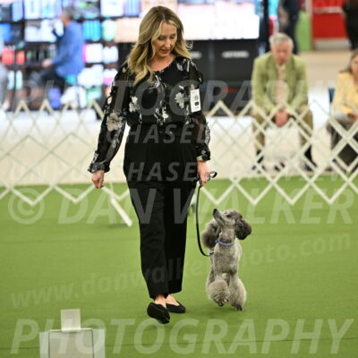 Ring-4-Afternoon-Rally_2159