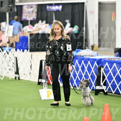 Ring-4-Afternoon-Rally_2162