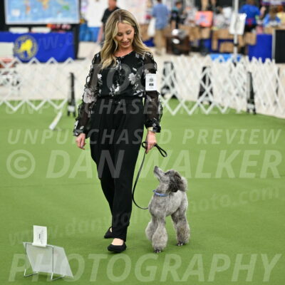 Ring-4-Afternoon-Rally_2163