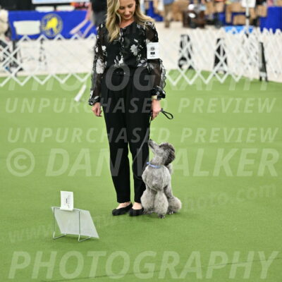 Ring-4-Afternoon-Rally_2166