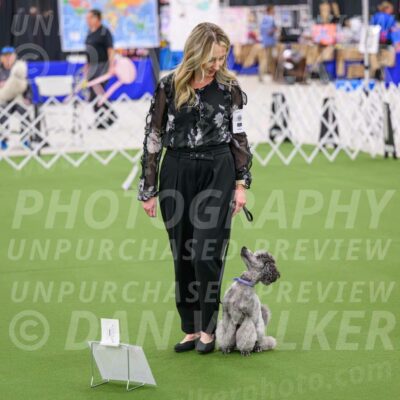 Ring-4-Afternoon-Rally_2169-Enhanced-NR