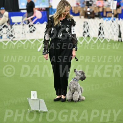 Ring-4-Afternoon-Rally_2169