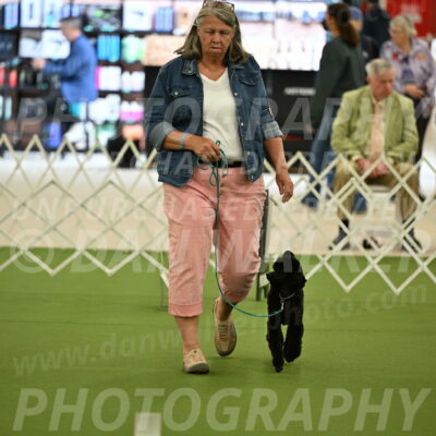 Ring-4-Afternoon-Rally_2171