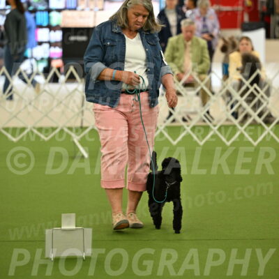 Ring-4-Afternoon-Rally_2172