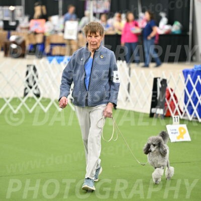 Ring-4-Afternoon-Rally_2174