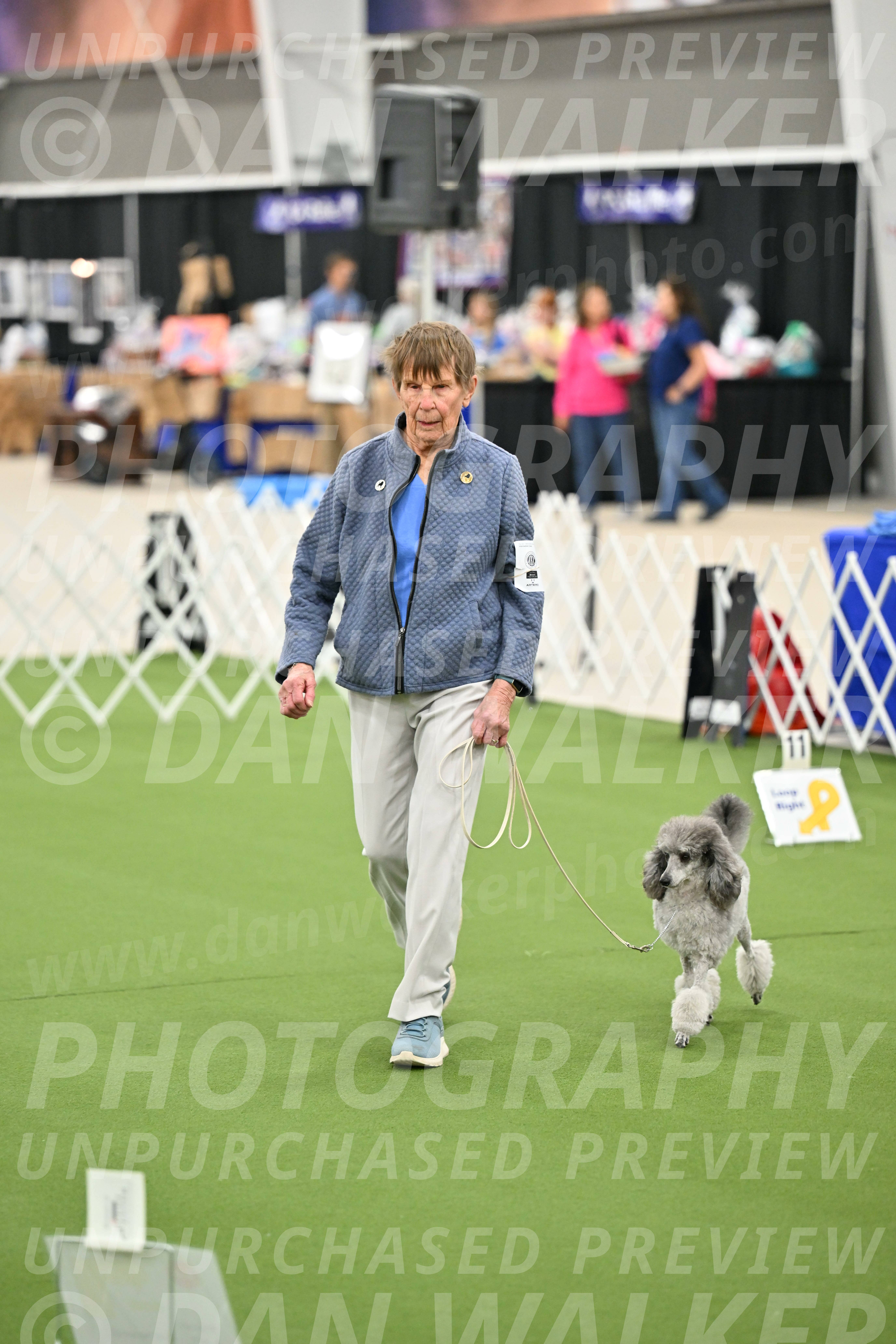 Ring-4-Afternoon-Rally_2175