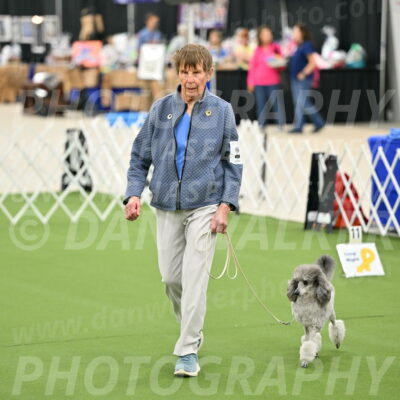 Ring-4-Afternoon-Rally_2175