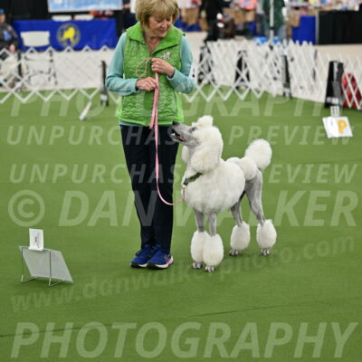 Ring-4-Afternoon-Rally_2192