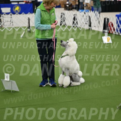 Ring-4-Afternoon-Rally_2196