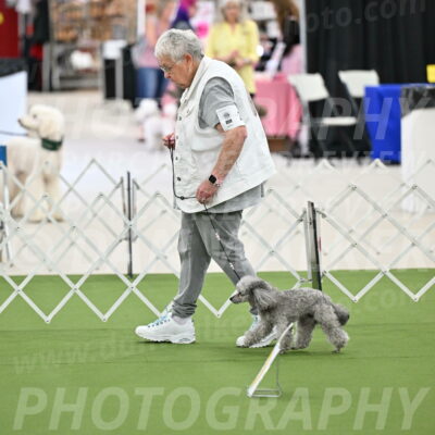 Ring-4-Afternoon-Rally_2198