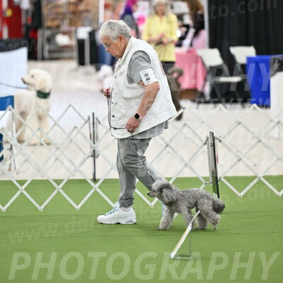 Ring-4-Afternoon-Rally_2199