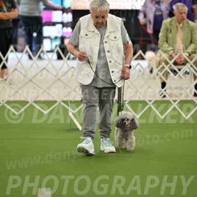 Ring-4-Afternoon-Rally_2200