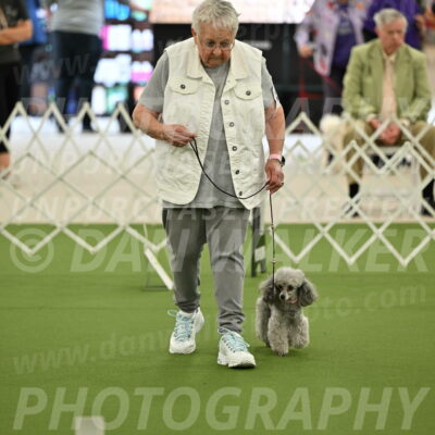 Ring-4-Afternoon-Rally_2202