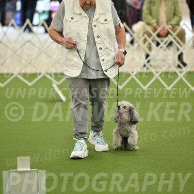 Ring-4-Afternoon-Rally_2206