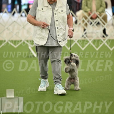 Ring-4-Afternoon-Rally_2209