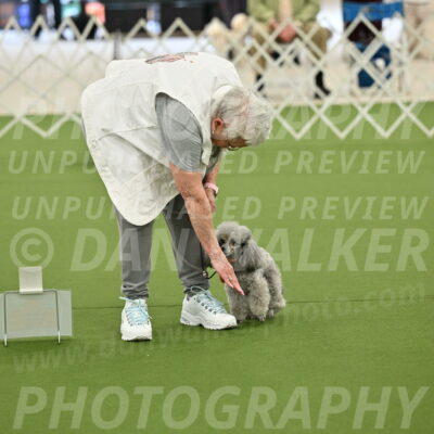 Ring-4-Afternoon-Rally_2211