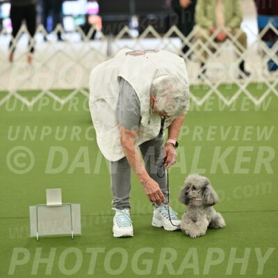 Ring-4-Afternoon-Rally_2213