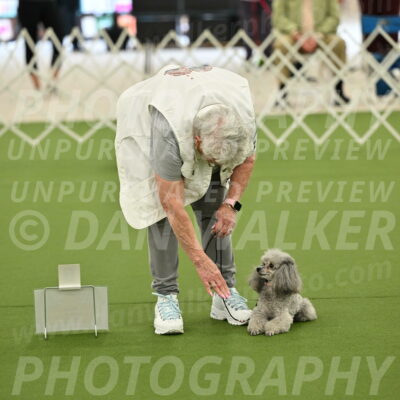 Ring-4-Afternoon-Rally_2215