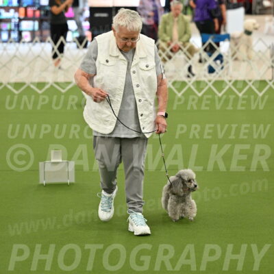 Ring-4-Afternoon-Rally_2217