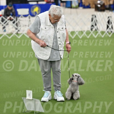 Ring-4-Afternoon-Rally_2220