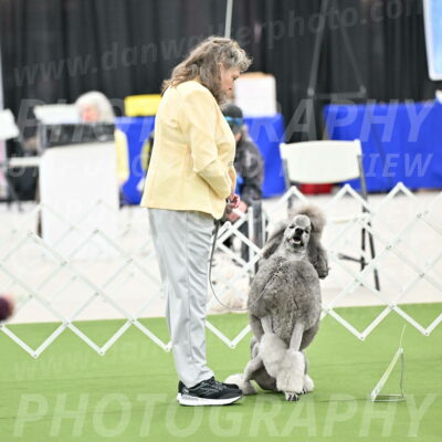 Ring-4-Afternoon-Rally_2222