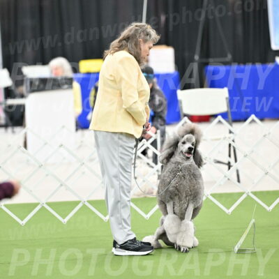 Ring-4-Afternoon-Rally_2223