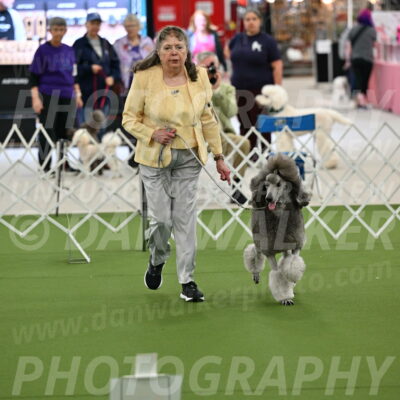 Ring-4-Afternoon-Rally_2224