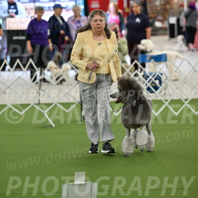 Ring-4-Afternoon-Rally_2226