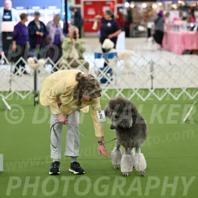 Ring-4-Afternoon-Rally_2228