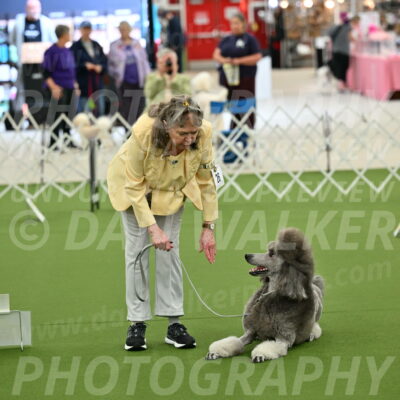 Ring-4-Afternoon-Rally_2231