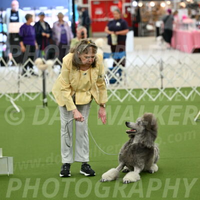 Ring-4-Afternoon-Rally_2233