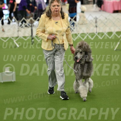 Ring-4-Afternoon-Rally_2235