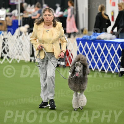 Ring-4-Afternoon-Rally_2237