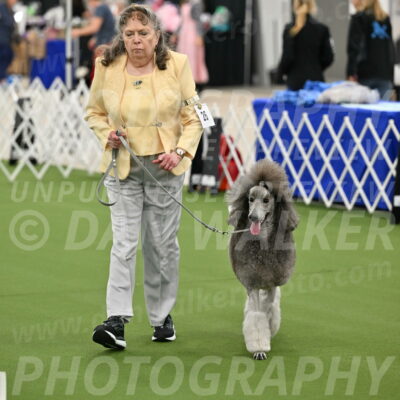 Ring-4-Afternoon-Rally_2239