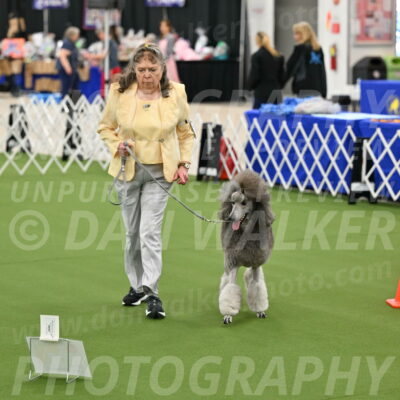 Ring-4-Afternoon-Rally_2240