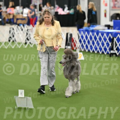 Ring-4-Afternoon-Rally_2243