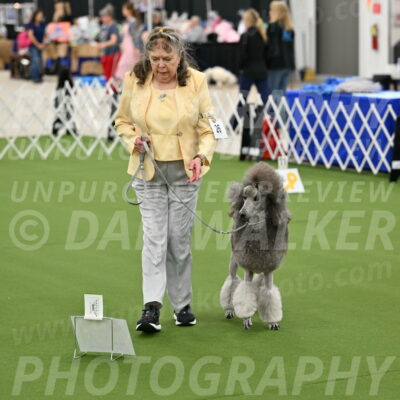 Ring-4-Afternoon-Rally_2244