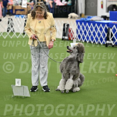 Ring-4-Afternoon-Rally_2247