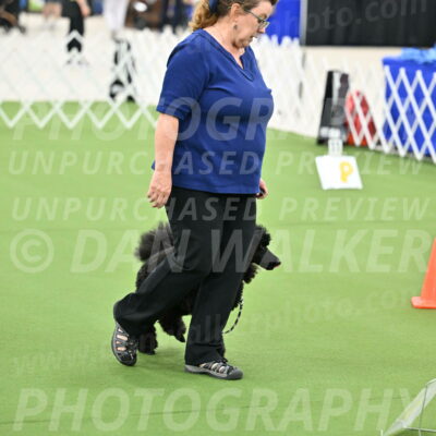 Ring-4-Afternoon-Rally_2252