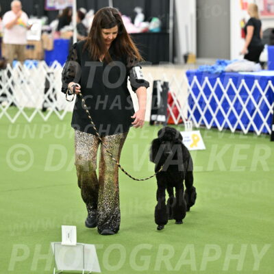 Ring-4-Afternoon-Rally_2278