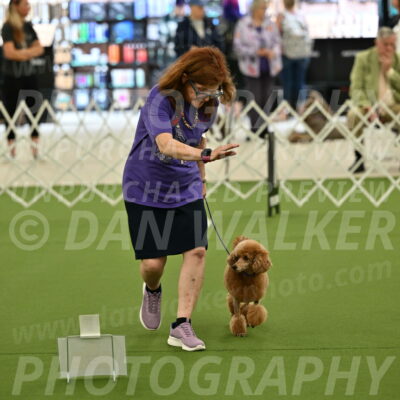 Ring-4-Afternoon-Rally_2289