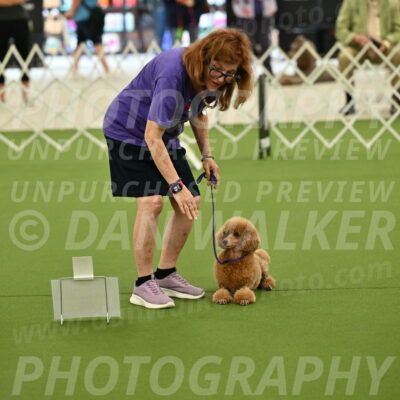 Ring-4-Afternoon-Rally_2291