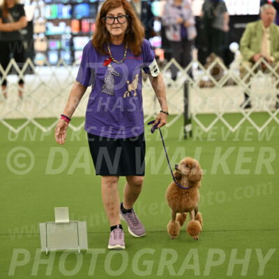 Ring-4-Afternoon-Rally_2292