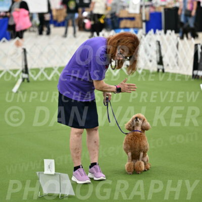 Ring-4-Afternoon-Rally_2300