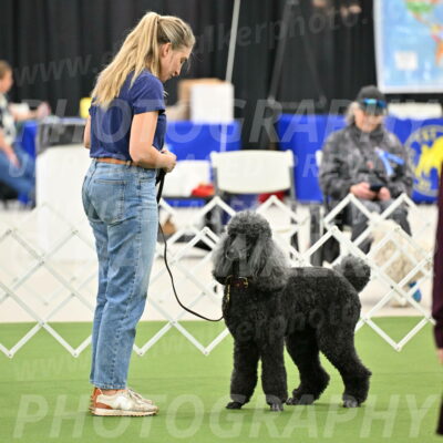 Ring-4-Afternoon-Rally_2302