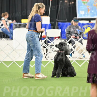 Ring-4-Afternoon-Rally_2304