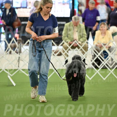 Ring-4-Afternoon-Rally_2306