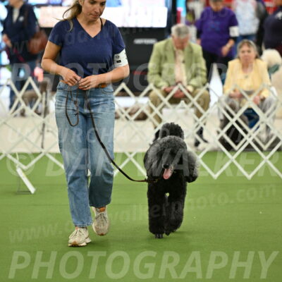 Ring-4-Afternoon-Rally_2308